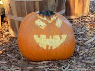 Watch It's Other Friend, Nipomo Pumpkin Patch best carving idea